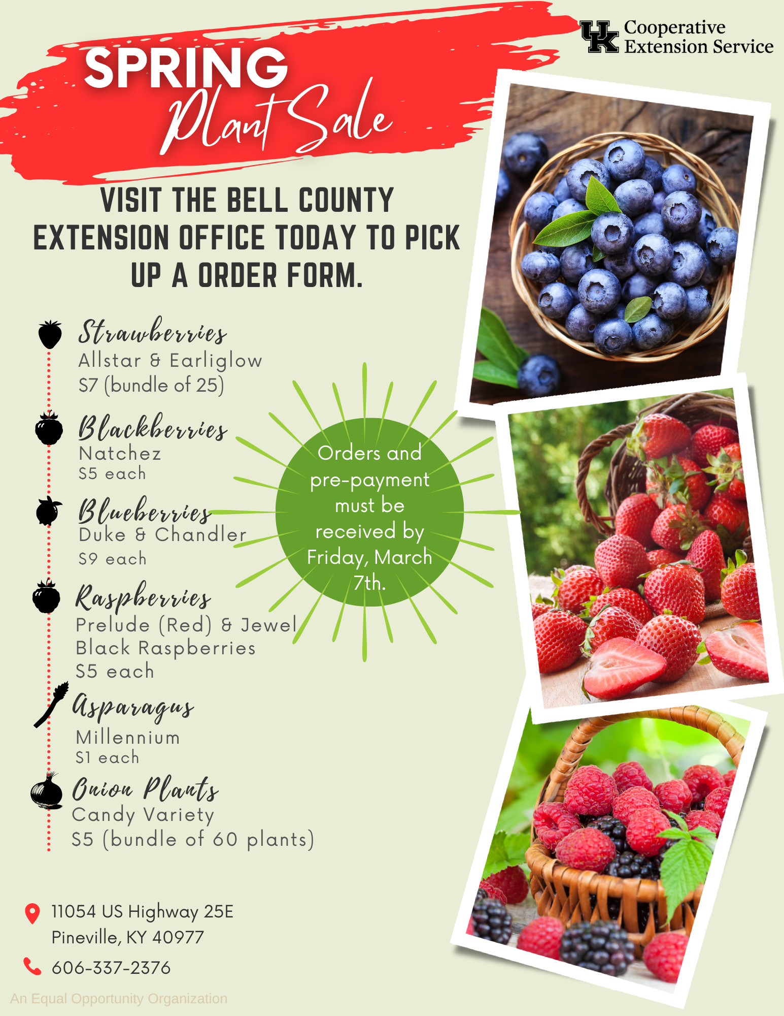 Spring plant sale