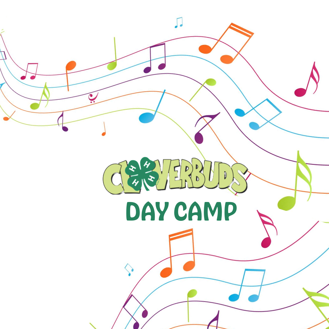 Clovebuds Camp image